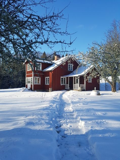 My red Swedish cottage Swedish Cottage Aesthetic, Red Swedish House, Swedish Home Design, Swedish Cottage Exterior, Swedish Christmas Aesthetic, Swedish Red House, Swedish House Exterior, Swedish Cottage Interior, Norwegian Farmhouse