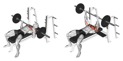 Overall Body Workout, Barbell Lifts, Barbell Press, Dumbbell Fly, Gym Workout Guide, Best Chest Workout, Pectoral Muscles, Cable Machine, Chest Muscles