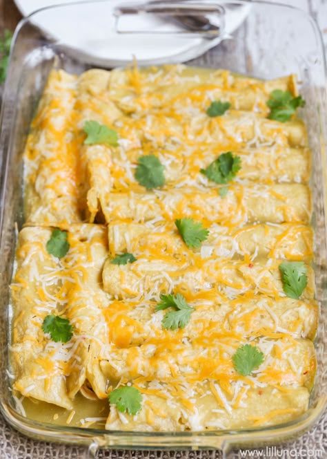 One of our favorite Mexican dishes - Green Chile Chicken Enchiladas recipe!! Corn tortillas stuffed with chicken, cheese, las palmas green chile enchilada sauce, sour cream, and green chiles, topped with more sauce and cheese! Casserole Enchilada, Green Sauce Recipe, Green Chili Chicken Enchiladas, Chicken Panini Recipes, Panini Recipes Chicken, Green Chicken Enchiladas, Easy Chicken Enchilada Recipe, Best Enchiladas, Green Chile Chicken Enchiladas