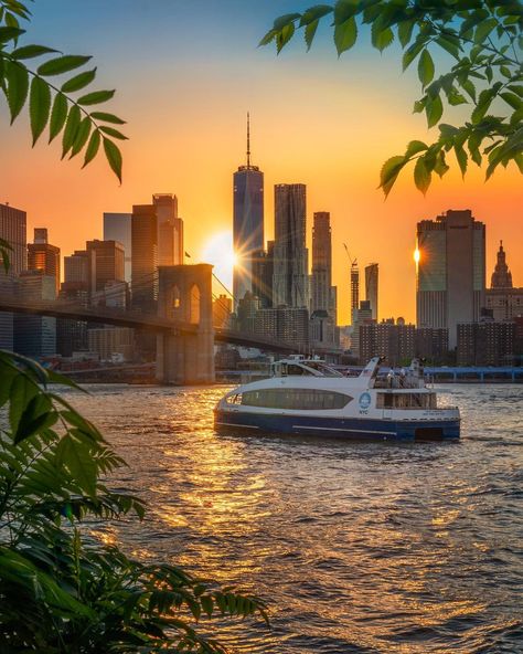 East River or a tropical oasis? 🤔🌴⁠ ⁠it’s the NYC Ferry❣️ Nyc Ferry, New York Tattoo, Gta 4, New York City Photos, City Photos, Tropical Oasis, East River, New York Life, World Cities