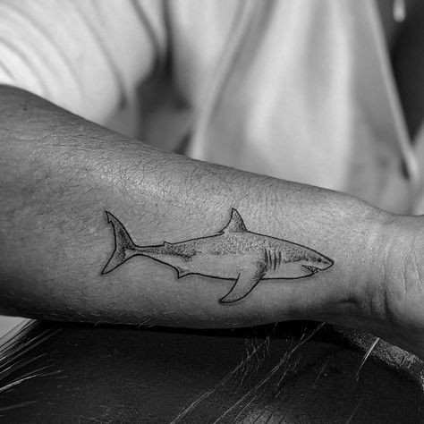 Galapagos Shark Tattoo, Shark Tattoo Ribs, Shark Tattoo Design Drawings, Ulna Tattoo, Shark Tattoo Minimalist, Minimalist Shark Tattoo, Tiny Shark Tattoo, Shark Outline Tattoo, Fine Line Shark Tattoo