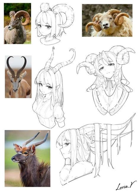 Hair Ideas For Drawing, Horns Reference, Horn Ideas, Horns Art, Draw Hair, 캐릭터 드로잉, Concept Art Drawing, Dessin Adorable, Anime Drawings Tutorials