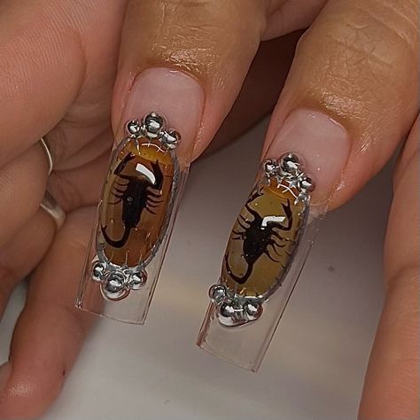 Bugs/ scorpions in amber for Scorpio sznnnn ♏️ 🦂 | Instagram Nail Contest, Horror Nails, Crazy Nails, Nails Only, Birthday Nails, Fire Nails, Funky Nails, Nail Extensions, Dope Nails