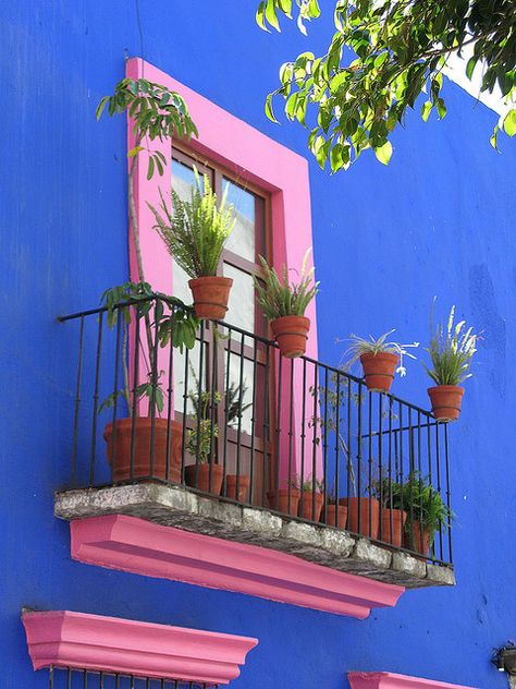 Wonderful blue with pink (and don't forget the green of the trees make it all come to life!) Murs Roses, Mexican Colors, Balkon Decor, House Gardens, Mexican Home, Beautiful Windows, Mexican Decor, Accessories Bathroom, Windows Exterior