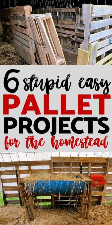 6 Quick and Easy Pallet Projects for the Homestead Easy Pallet Projects, Diy Pallet Decoration, Pallet Decoration Ideas, Pallet Craft, Pallet Building, Pallet Projects Garden, Modern Homestead, Diy Wood Pallet Projects, Urban Homestead