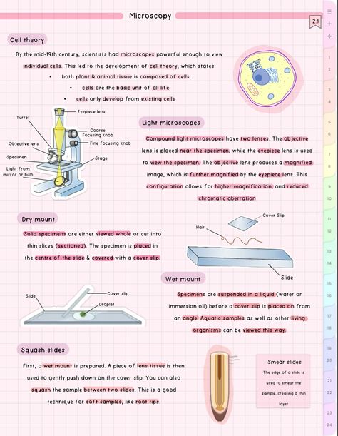 #cute #aesthetic #biology #notes #study #student Microscopy Biology Notes, Aesthetic Biology Notes, Microbiology Aesthetic, Aesthetic Biology, Microbiology Study, Bio Notes, Gcse Biology, Learn Biology, Microbiology Lab