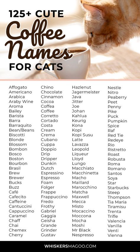 125+ Coffee-Inspired Names For Cats - From Beans to Bosco, Cocoa, Chai, Puck, Mocha, Buzz, Joe and more, check out over 125 coffee-inspired names for cats and kittens right here! #catnames #kitten #petnames Coffee Related Names, Cat Cafe Name Ideas, Name For Cats, Names For Male Cats, Kitten Names Girl, Cafe Names Ideas, Names For Cats, Cute Animal Names, Coffee Names