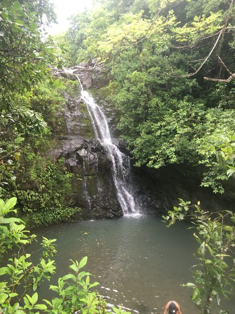 Waimano Falls July 4th 2016 Oahu, July 4th, My Pictures, Hiking, Swimming, Water