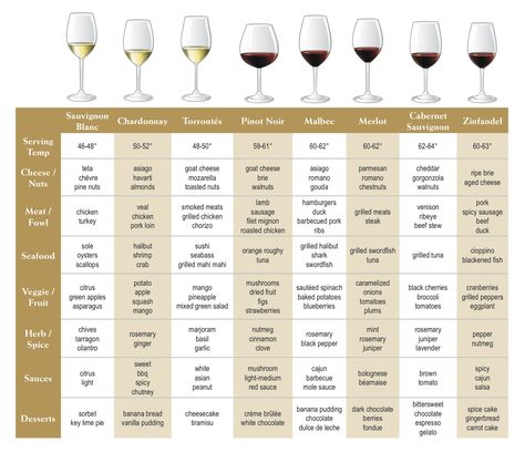 Wine and food pairing chart with serving temp! Wine Pairings Chart, Flavor Pairing, Wine Cheese Pairing, Wine And Cheese Party, Cheese Pairings, Wine Tasting Party, Wine Guide, Tasting Party, Wine Food Pairing