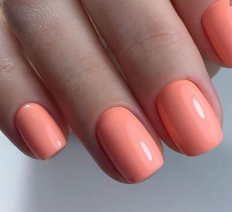 Coral Toe Nails, Nails 2023 Winter, Uñas Color Coral, Bright Coral Nails, Salmon Nails, Coral Gel Nails, Winter Nails 2023, Coral Pink Nails, Peach Colored Nails