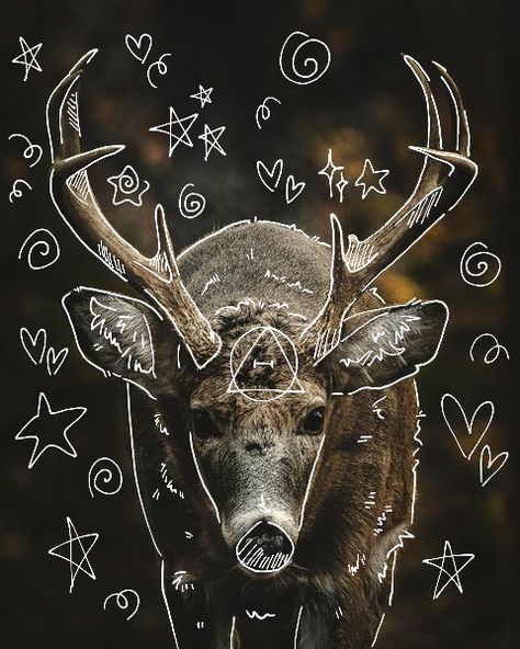 Deer Pfp, Deer Therian, Therian Aesthetic, Therian Art, Buck Moon, Therian Pfp, Male Deer, Cute Easy Paintings, Free Pfp