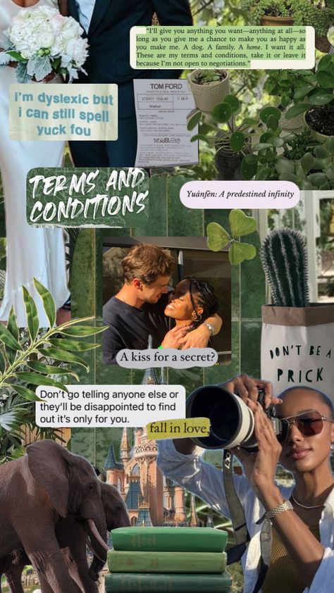 Terms an conditions by Lauren Asher Iris And Declan, Dreamland Billionaires Series, Declan Kane, Dreamland Billionaires, Lauren Asher, Terms And Conditions, Collage