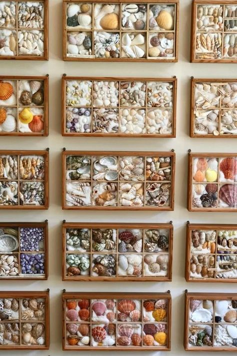 glazed fronted boxes Soho House Berlin, Seashell Display, Shell Display, Furniture Fabrics, Shells Diy, Homes Interior, Printers Tray, Shell Collection, Shell Decor