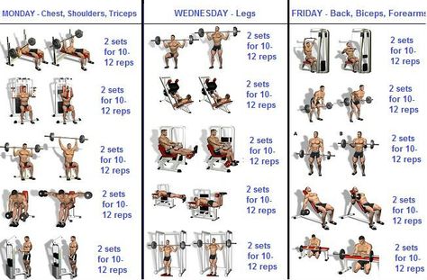 8 Weeks Workout Programme For Beginners - GymGuider.com Workout Programme, Week Routine, Weekly Gym Workouts, Study Info, Fitness Studio Training, Gym For Beginners, Workout Hiit, Sixpack Workout, Workout Plan For Men