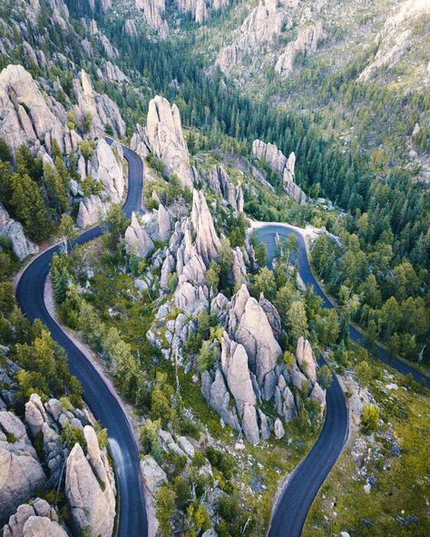 The Lakota first called the mountains that rumple South Dakota paha sapa, or black hills, because of the way pines darken their forms from a distance. This aerial shot of the Needles Highway in Custer State Park shows the area from a remarkable perspective. Nature, Los Angeles, Custer State Park South Dakota, Needles Highway, South Dakota Road Trip, South Dakota Vacation, South Dakota Travel, Black Hills South Dakota, Newborn Animals