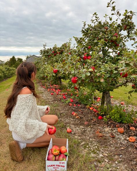 Since I was small, my family always went to Lawrence Farms Orchards to kick off the autumn season 🍎🍏 They’re literally the best u-pick farm located just an hour and a half from nyc. Bonus, they have killer apple cider doughnuts too! . . . . . #autumnvibes #applepicking #falltravel #vanlife #vanlifestyle #lifeontheroad #slowliving #october Cherry Picking Aesthetic, Picking Fruit, Cherry Farm, Cherry Picking, Fall Travel, Apple Picking, 2025 Vision, Autumn Season, Van Life