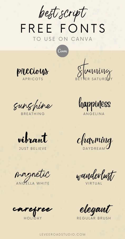 Set the tone for your designs with the best free script fonts on Canva. These fonts, ranging from cool to cursive, will let your designs speak volumes about your style. Perfect for web design or personalized projects. Learn more about the best font styles, calligraphy font ideas, best fonts for logos, cool typography and more at leveeroadstudio.com! Note Taking Fonts Dafont, Fonts To Use Together, Fonts Ideas Aesthetic, Fun Canva Font Pairings, Fonts For Website Design, Canva Calligraphy Fonts Name, Custom Font Design, Preppy Canva Fonts, Western Canva Fonts