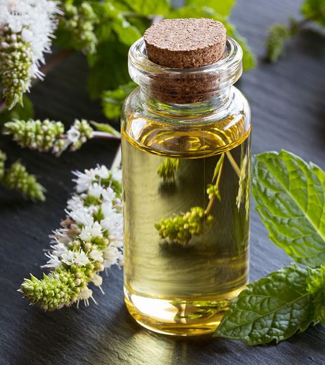 Peppermint Oil Benefits, Baking Soda Mask, Baking Soda For Acne, Baking Soda Scrub, Baking Soda Face, Baking Soda Benefits, Dark Spots On Face, Natural Acne Remedies, Metaphysical Shop