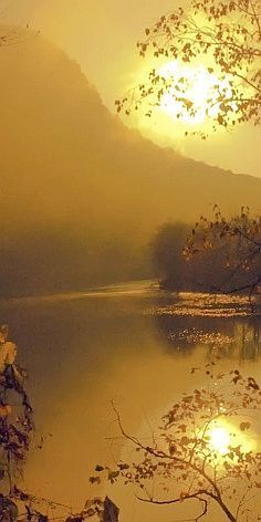 Gold Delaware River sunrise in New Jersey • photo: Bob Jagendorf on Flickr Yellow Closet, Yellow Sunrise, Yellow Nature, Color Boards, By Any Means Necessary, Delaware River, Beautiful Sunrise, Mellow Yellow, Nature Landscape