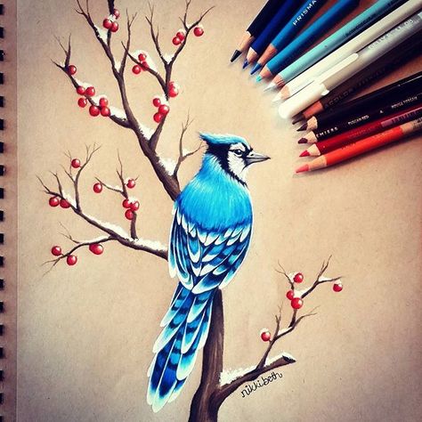 Drew a little winter blue jay. ❄ I'm snowed in right now and I FINALLY found some motivation. I feel better now. I used Prismacolor pencils on Strathmore Toned Tan paper. Color Pencil Sketch, Prismacolor Art, Colored Pencil Artwork, Colored Pencil Drawing, Color Pencil Art, Color Pencil Drawing, Bird Drawings, Beautiful Drawings, Colorful Drawings