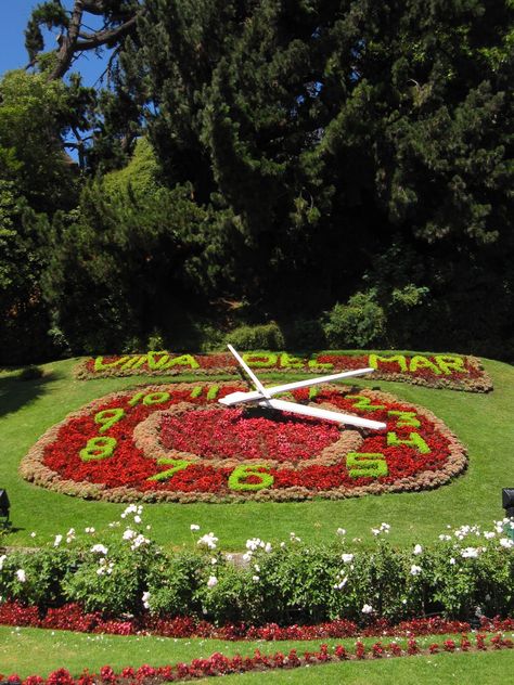 Flower Clock, Vina del Mar Vina Del Mar Chile, Flower Clock, Vina Del Mar, Overseas Travel, Easter Island, Incredible Places, Travel Information, Travel Around The World, Travel Around