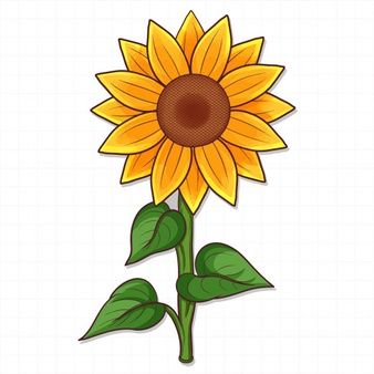 Flower Drawing For Kids, Sunflower Vector, Sunflower Sketches, Drawn Sunflower, Sunflower Invitations, Sunflower Illustration, Sunflower Drawing, Flower Drawing Design, Posca Art