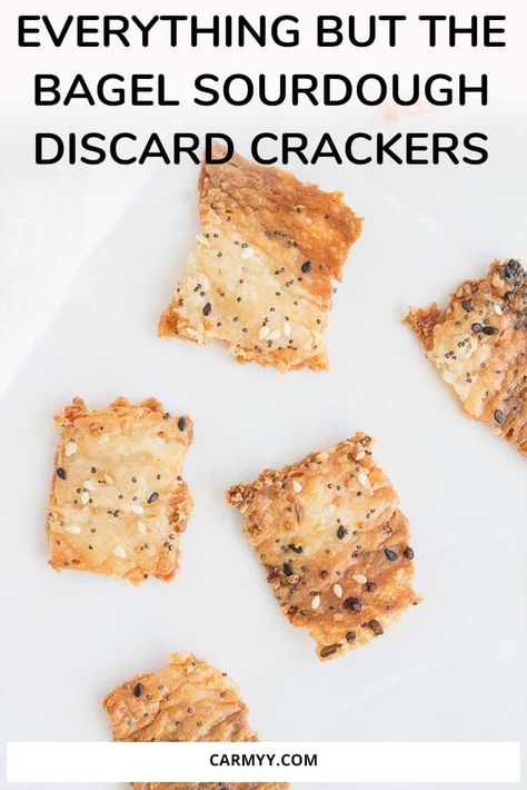 Sourdough Discard Crackers, Discard Crackers, Sourdough Crackers, South Indian Kitchen, Everything But The Bagel, Dough Starter, Sourdough Starter Discard Recipe, Sourdough Starter Recipe, Homemade Crackers