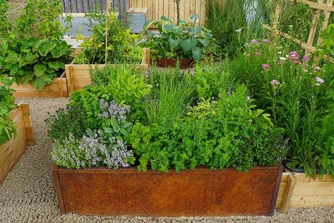 Herb Garden Design, Fresco, Raised Bed Herb Garden, Herb Garden Boxes, Herb Planter Box, Raised Herb Garden, Plant Herbs, Herb Garden Planter, Best Perennials