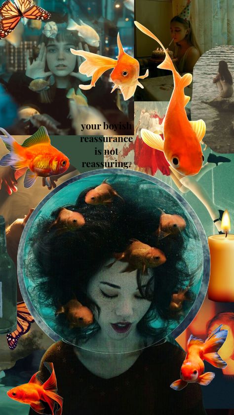 idk if i like this #collage #aesthetic #moodboard #koi #goldfish Koi Fish Moodboard, Goldfish Wallpaper Aesthetic, Coy Fish Aesthetic, Gold Fish Aesthetic, Aesthetic Goldfish, Goldfish Poster, Goldfish Aesthetic, Koi Fish Aesthetic, Goldfish Illustration