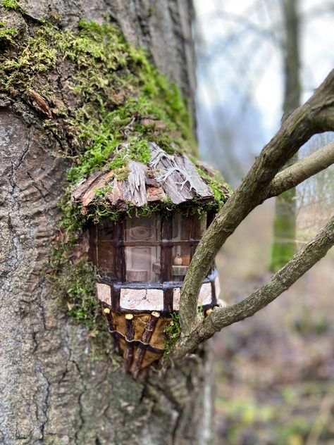 Fairy Cottages, Fairy Garden Doors, Fairy Tree Houses, Fairy House Crafts, Fairy Homes, Fairy Village, Fairy Garden Designs, Fairy Garden Crafts, Faeries Gardens