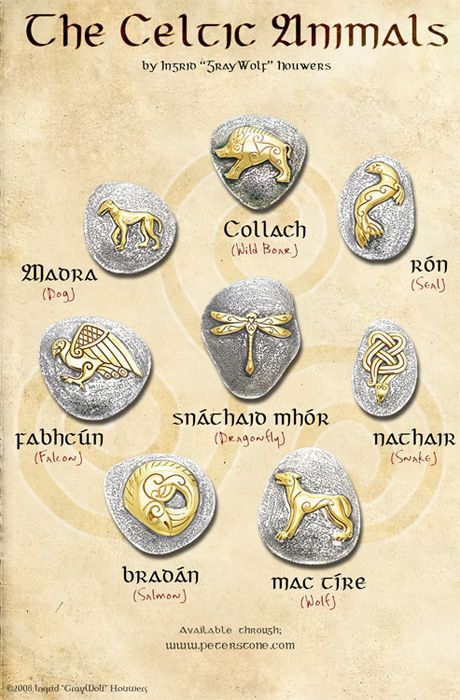 Animal Symbols, Symbols And Their Meanings, Celtic Animals, Animal Symbol, Celtic Druids, Symbole Viking, Irish Mythology, Celtic Heritage, Celtic Culture