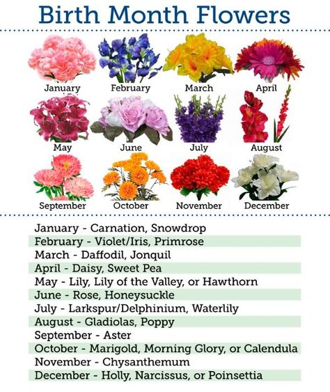 Nature, Flowers By Month, Flowers Month, Astrology Magic, Tattoo Kids, Moon Spirit, Birthday Month Flowers, Flower Bouquet Tattoo, June Flower