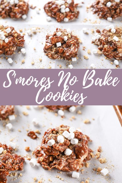 Baked Smores, Easy No Bake Cookies, S Mores Cookies, Homemade Snickers, Smores Cookies, Baking Cocoa, Easy No Bake Desserts, Vegan And Gluten Free, Cheesecake Desserts