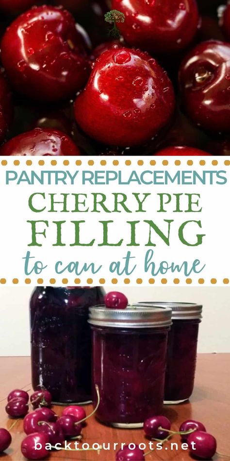 Homemade Cherry Pie Filling ~ A Canning Recipe Pie Filling Canning, Cherry Pie Filling Recipe, Homemade Cherry Pie Filling, Homemade Cherry Pie, Cherry Pie Filling Recipes, Sweet Cherry Pie, Homemade Cherry Pies, Pie Fillings, Canning Fruit