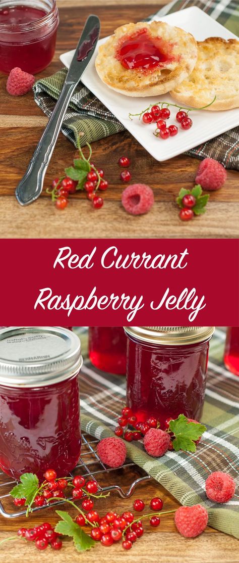 Raspberry Jelly Recipe, Red Currant Jam, Currant Jam, Jam Canning, Currant Jelly, Raspberry Jelly, Jelly Recipe, Red Jelly, Red Currant