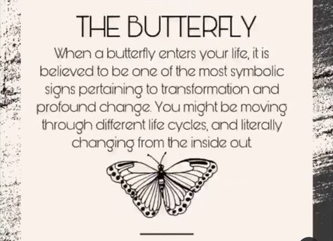 Butterfly Quotes Beautiful, Meaning Of A Butterfly, Meaning Of Butterflies, Meaning Of Butterfly Tattoo, Butterfly Quotes Inspirational, Butterfly Tattoo With Quote, Seeing A Butterfly Meaning, Symbolism Of Butterflies, Seeing Butterflies Meaning