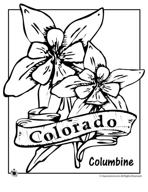 Colorado State Flower, Colorado Flowers, Flowers Coloring Pages, State Flowers, Mushroom Images, Colorado Map, Columbine Flower, Flowers Coloring, Rock Flowers