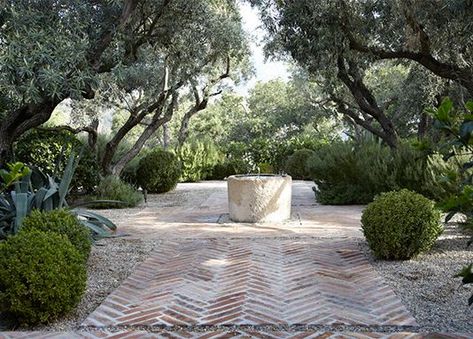 Gravel Planting, Olive Balls, Brick Terrace, Scott Shrader, Herringbone Brick, Outdoor Landscape Design, Mediterranean Garden Design, Cindy Hattersley, Provence Garden