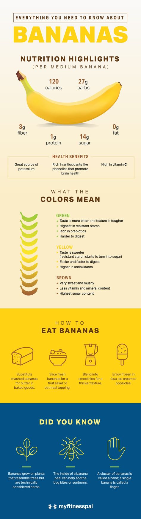 Everything You Need to Know About Bananas | Nutrition | MyFitnessPal Banana Infographic, Banana Nutrition Facts, Banana Nutrition, Health Notes, Nutrition Infographic, Preworkout Snack, Banana Benefits, Fitness Pal, Healthy Carbs