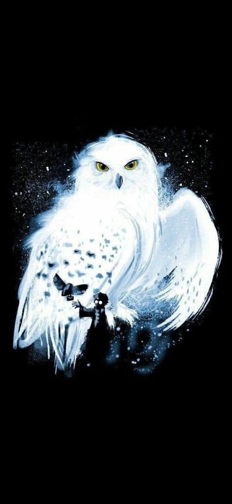 Fanart Harry Potter, Harry Potter Wallpaper Phone, Harry Potter Owl, Owl Posters, Pandora Gold, Harry Potter Artwork, Harry Potter Anime, Harry Potter Theme, Harry Potter Wallpaper