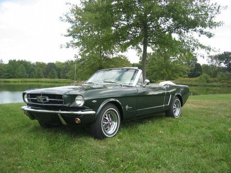 highland green vs ivy green on 65? | Vintage Mustang Forums Dark Green Vintage Car, Dark Green Mustang, Dark Green Car, Driving Motivation, 1967 Mustang Convertible, 1965 Mustang Convertible, Green Mustang, Mustang 65, Ford Mustang 1969