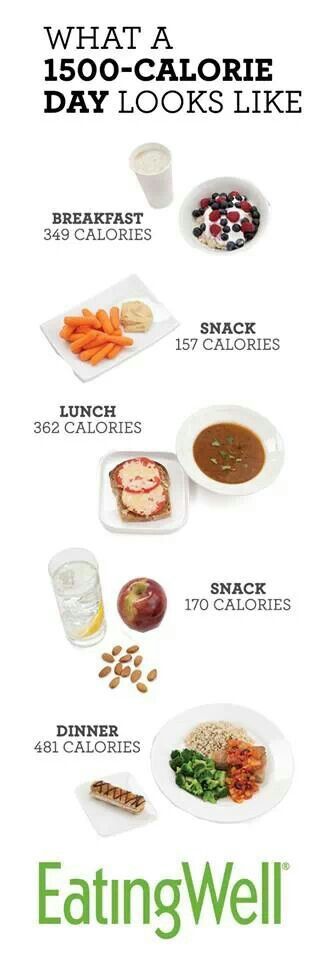 What 1500 calories a day looks like. 150 Calorie Snacks, Makanan Rendah Kalori, 500 Calorie, Different Foods, Week Diet Plan, Sample Menu, Resep Diet, No Calorie Snacks, Makanan Diet