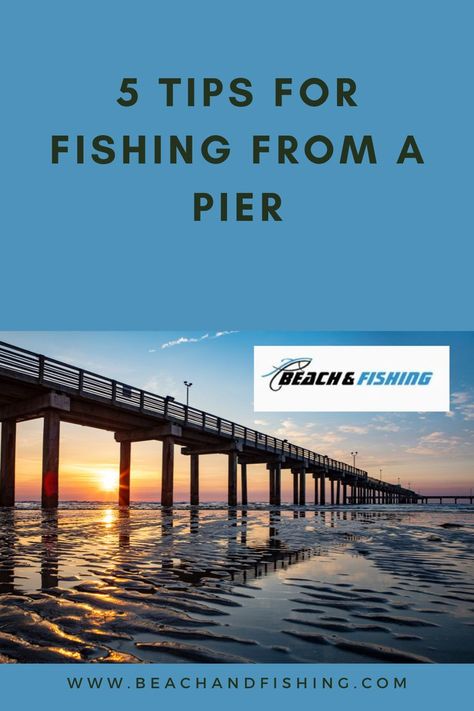 Florida Fishing, Fishing Basics, Fishing For Beginners, Fishing Pier, Fishing Supplies, Ocean Fishing, Beach Fishing, Pier Fishing, Fish Camp