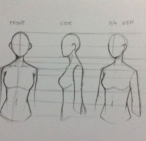 Front, Side, and 3/4 View of Female! Male Figure Drawing, Human Figure Sketches, Human Figure Drawing, Figure Sketching, Arte Sketchbook, Anatomy Drawing, Arte Inspo, Figure Drawing Reference, Realistic Drawings