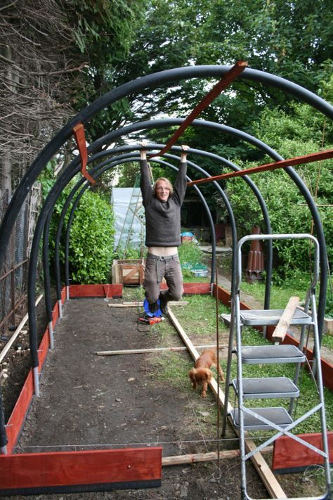 Polytunnel Gardening, Diy Greenhouse Plans, Cattle Panels, Build A Greenhouse, Home Greenhouse, Backyard Greenhouse, Small Greenhouse, Permaculture Design, Greenhouse Plans