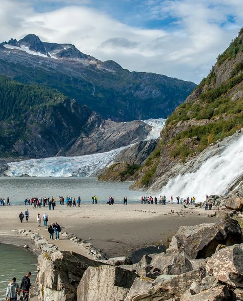 Best Things to Do in Juneau, Alaska Alaskan Wildlife, Alaska Cruises, Cruise To Alaska, Mendenhall Glacier, Alaska Photography, Royal Caribbean Cruises, Alaska Glaciers, Juneau Alaska, Adventure Vacation