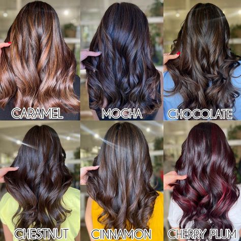 Hair Colour For Dark Black Hair, Balayage, Hair Colour For Indian Skin Curly Hair, Hair Global Highlights, Hair Colour For Indian Skin Long Hair, Coloured Hair On Indian Skin, Highlights Colour Shades, Brown Hair Types Colour, New Highlights Hair Colour 2023