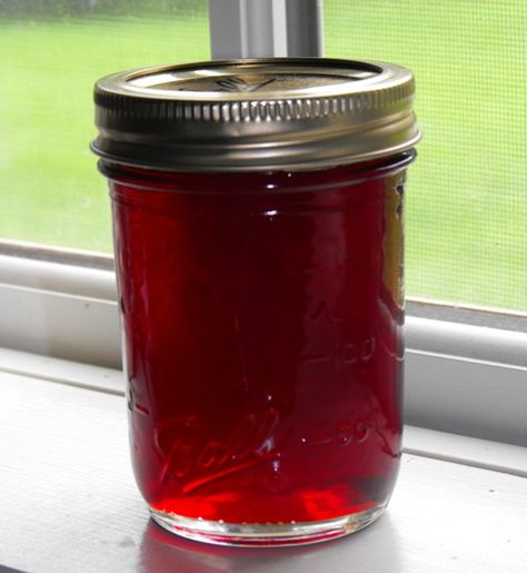 Strawberry Jelly Recipe Canning, Strawberry Jelly Recipes, Leftover Strawberries, Ball Blue Book, Canning And Preserving, How To Make Jelly, Canning Fruit, Canning Pickles, Canning Vegetables