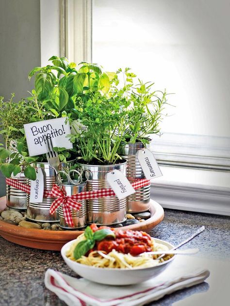 Grow your own kitchen countertop herb garden. http://www.hgtv.com/kitchens/grow-your-own-kitchen-countertop-herb-garden/index.html?soc=pinterest Planters Diy, Herb Garden In Kitchen, Diy Herb Garden, نباتات منزلية, Herb Garden Design, Kitchen Herbs, Diy Outdoor Decor, Diy Pots, Indoor Herb Garden