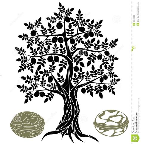 Walnut Tree Hickory Tree, Branch Vector, Tree Vector, Walnut Tree, Tree Coloring Page, Bodhi Tree, Tree Sketches, Tree Clipart, Plant Vector